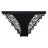 Wild Rose Brief